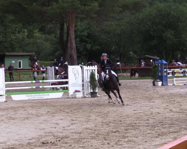Reitturnier Arnsberg-Holzen 2023