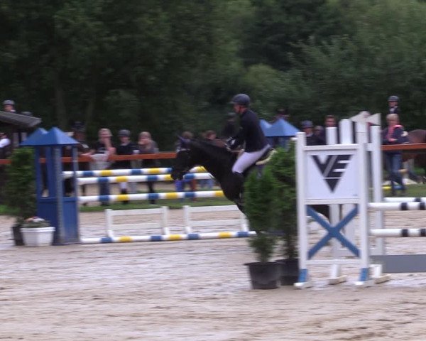 Reitturnier Arnsberg-Holzen 2023
