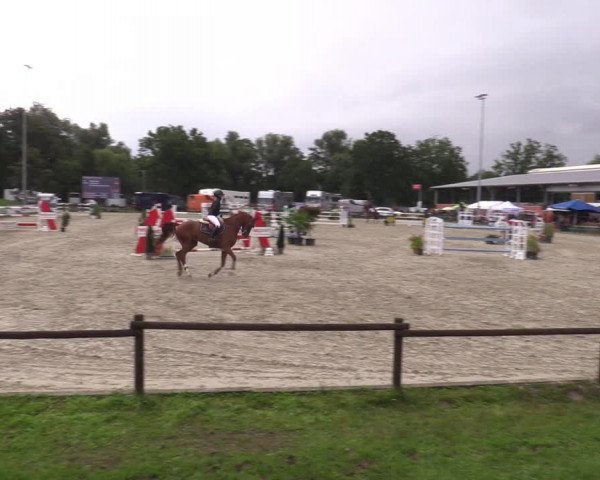 Reitturnier Nettetal-Lobberich 2023