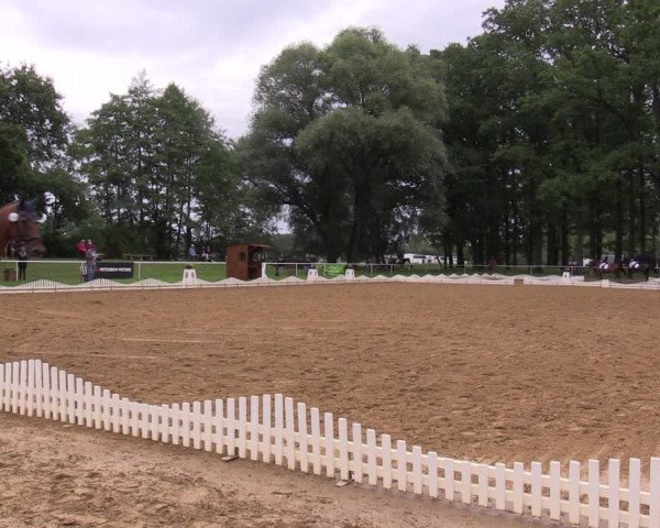 Reitturnier Zobbenitz 2023