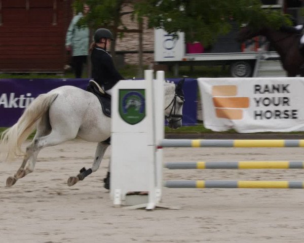 Reitturnier Groß-Zimmern 2023