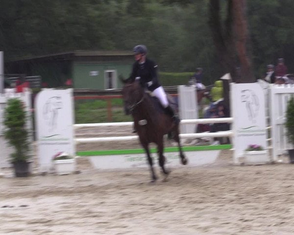 Reitturnier Arnsberg-Holzen 2023