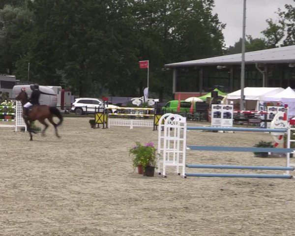 Reitturnier Nettetal-Lobberich 2023