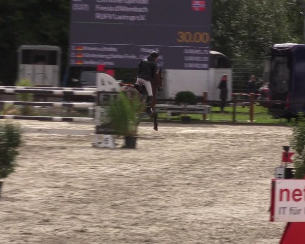 Reitturnier Nettetal-Lobberich 2023