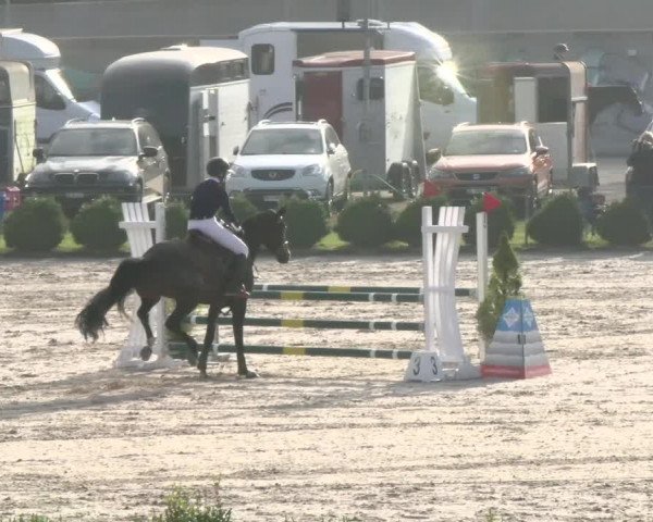 Reitturnier Basel Schänzli 2021