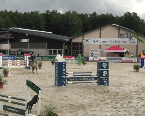 Reitturnier Olfen-Vinnum 2023