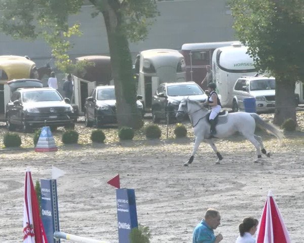 Reitturnier Basel Schänzli 2021