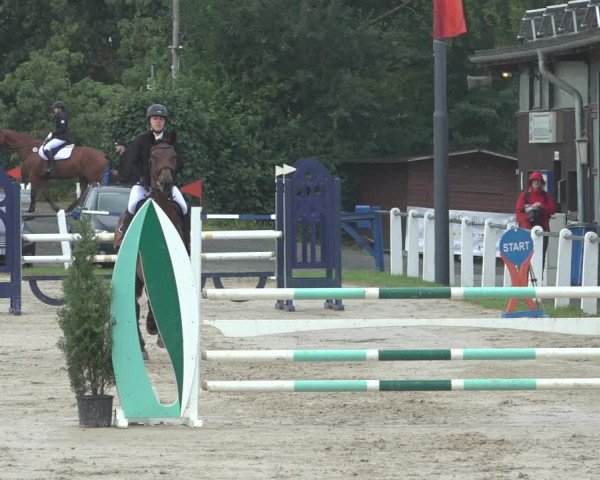 Reitturnier Niederzeuzheim 2023