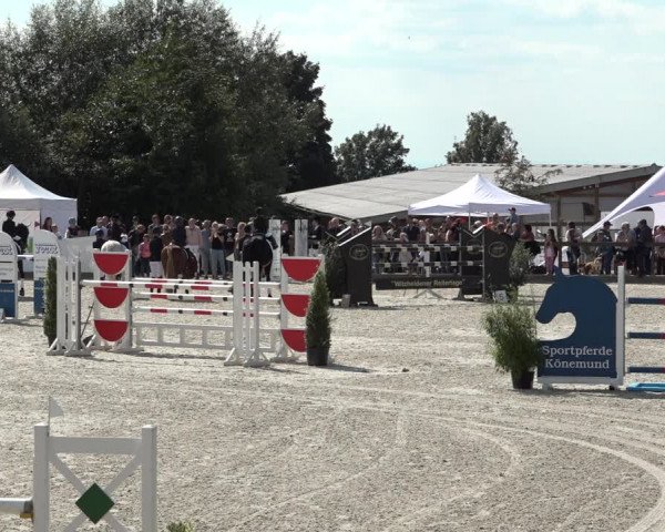 Reitturnier Leichlingen-Witzhelden 2021