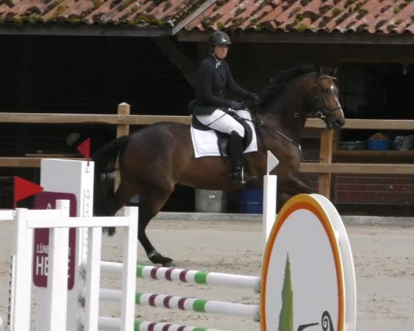 Reitturnier Alvern 2023