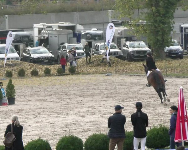 Reitturnier Basel Schänzli 2021