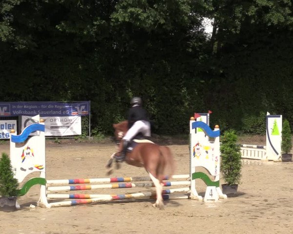 Reitturnier Arnsberg-Holzen 2023
