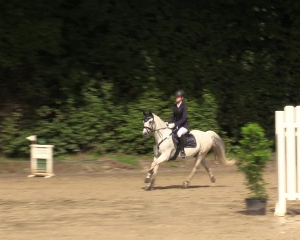 Reitturnier Arnsberg-Holzen 2023