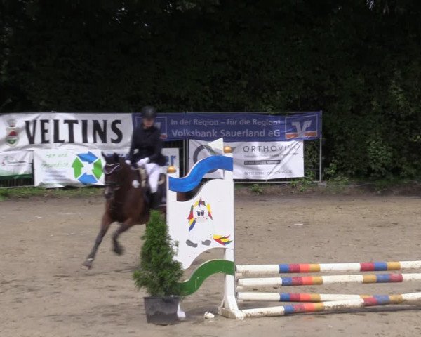 Reitturnier Arnsberg-Holzen 2023