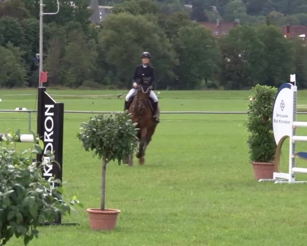 Reitturnier Bad Kissingen 2023