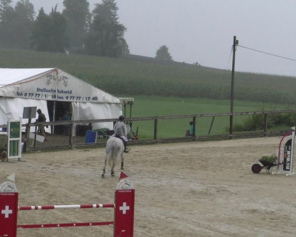 Reitturnier Wädenswil 2023
