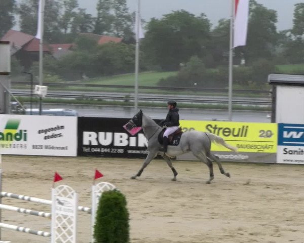 Reitturnier Wädenswil 2023
