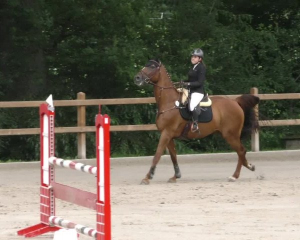 Reitturnier Alvern 2023