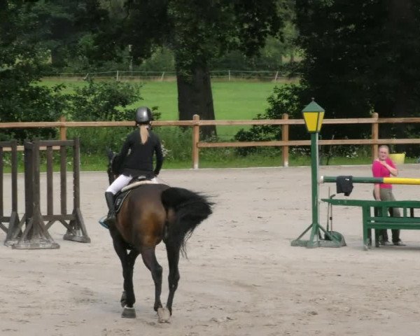 Reitturnier Alvern 2023