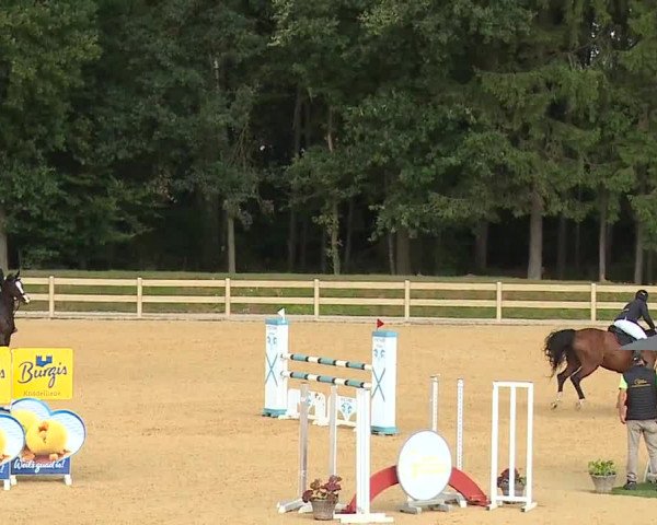 Reitturnier Tiefenhof 2023