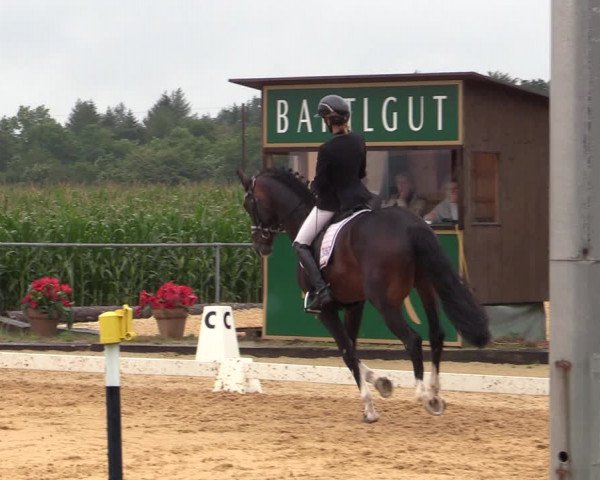 Reitturnier Ranshofen - Braunau am Inn 2023
