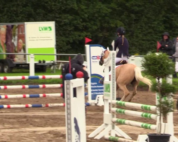 Reitturnier Sollerup 2023