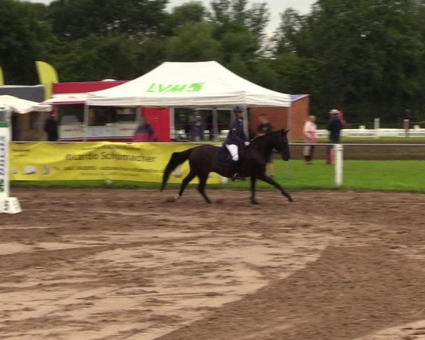 Reitturnier Sollerup 2023