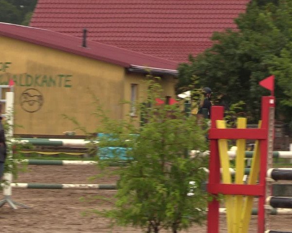 Reitturnier Altlandsberg 2023