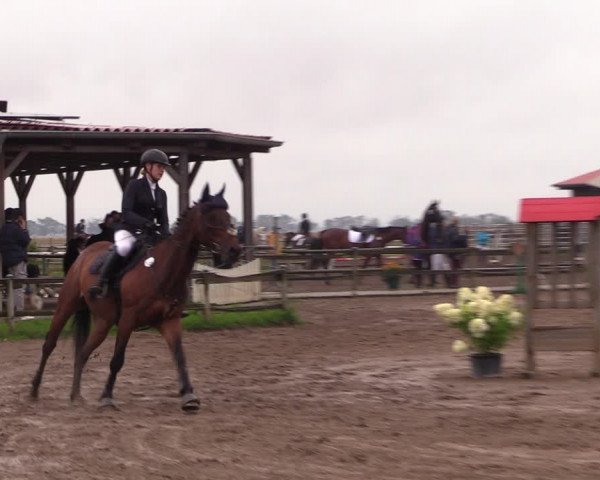 Reitturnier Altlandsberg 2023