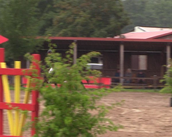 Reitturnier Altlandsberg 2023