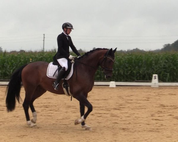 Reitturnier Ranshofen - Braunau am Inn 2023