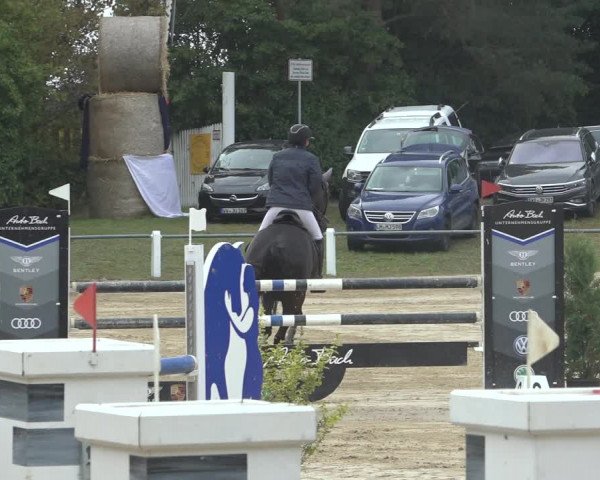 Reitturnier Niederzeuzheim 2023