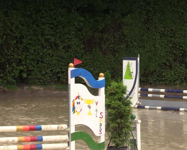 Reitturnier Arnsberg-Holzen 2023