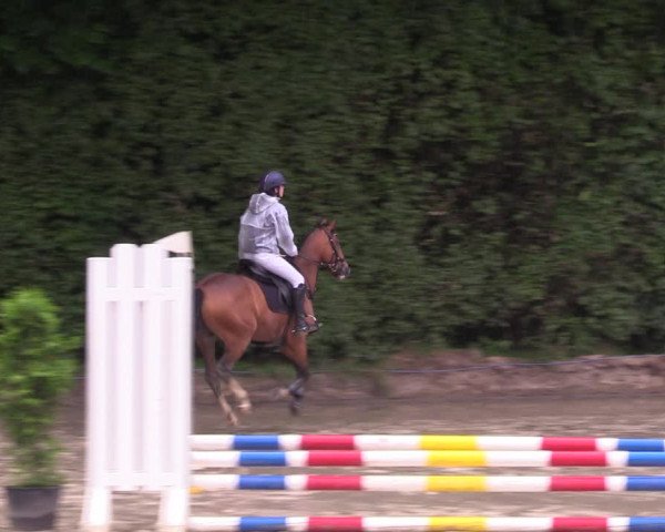 Reitturnier Arnsberg-Holzen 2023