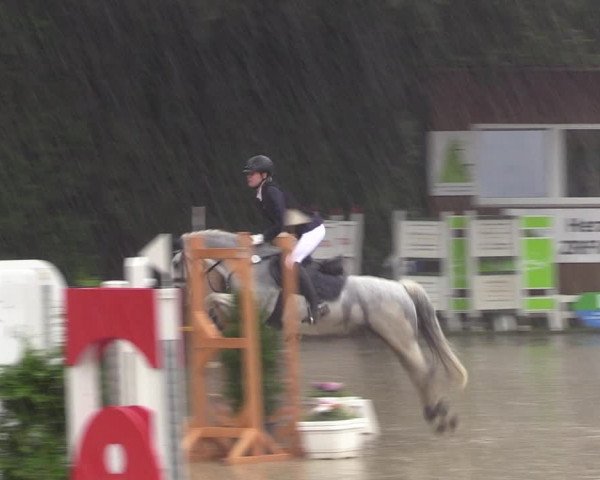 Reitturnier Arnsberg-Holzen 2023