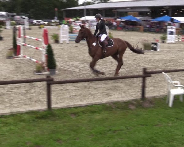 Reitturnier Nettetal-Lobberich 2023
