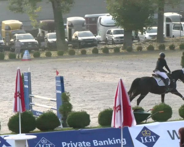 Reitturnier Basel Schänzli 2021
