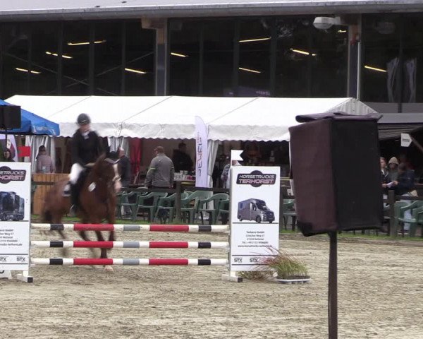 Reitturnier Nettetal-Lobberich 2023