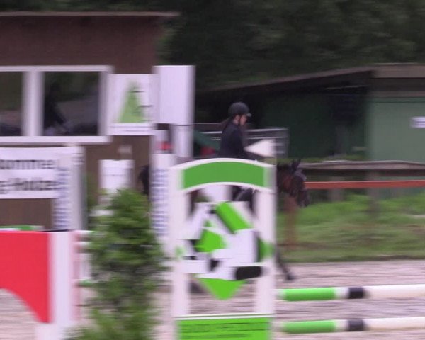 Reitturnier Arnsberg-Holzen 2023
