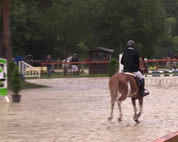 Reitturnier Arnsberg-Holzen 2023