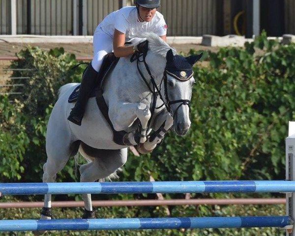 Zuchtstute Riviera Sitte (Belgium Sporthorse, 2001, von Parco)