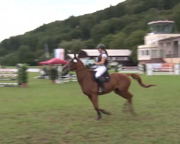 Reitturnier Bad Kissingen 2023