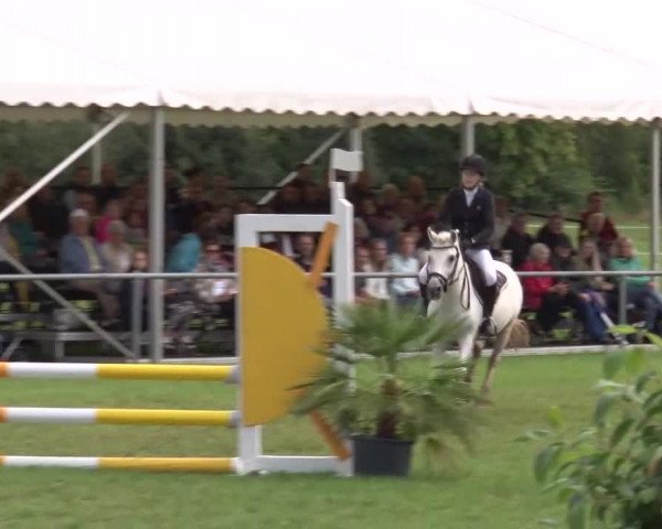 Reitturnier Bad Kissingen 2023