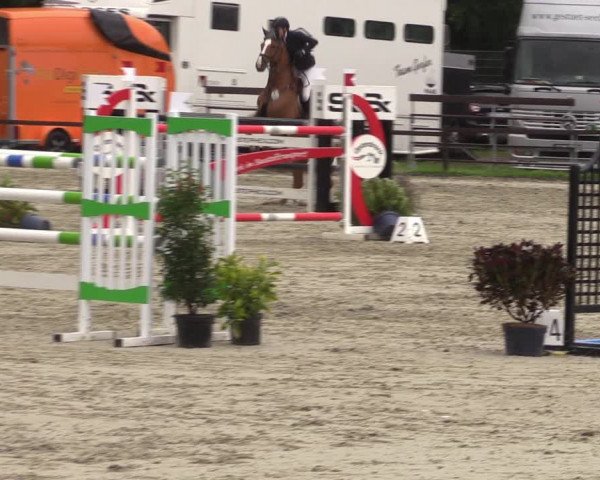 Reitturnier Nettetal-Lobberich 2023
