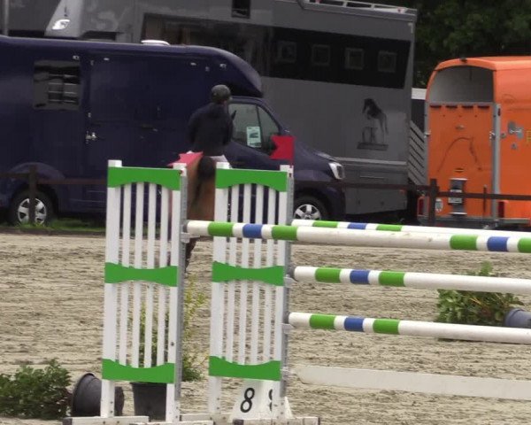 Reitturnier Nettetal-Lobberich 2023