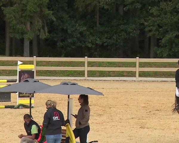Reitturnier Tiefenhof 2023