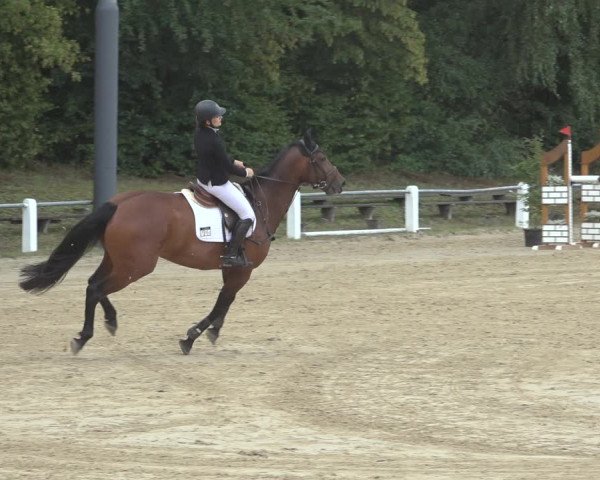 Reitturnier Niederzeuzheim 2023
