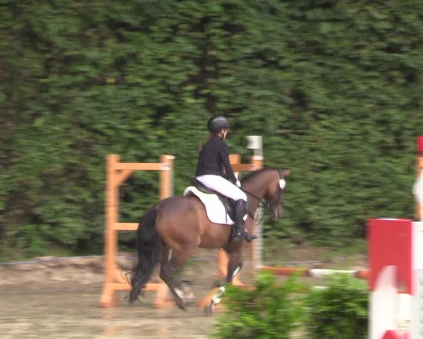 Reitturnier Arnsberg-Holzen 2023
