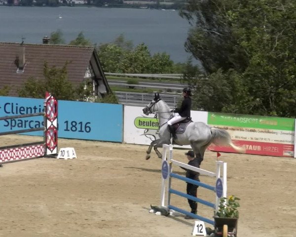 Reitturnier Wädenswil 2023