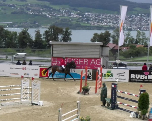 Reitturnier Wädenswil 2023